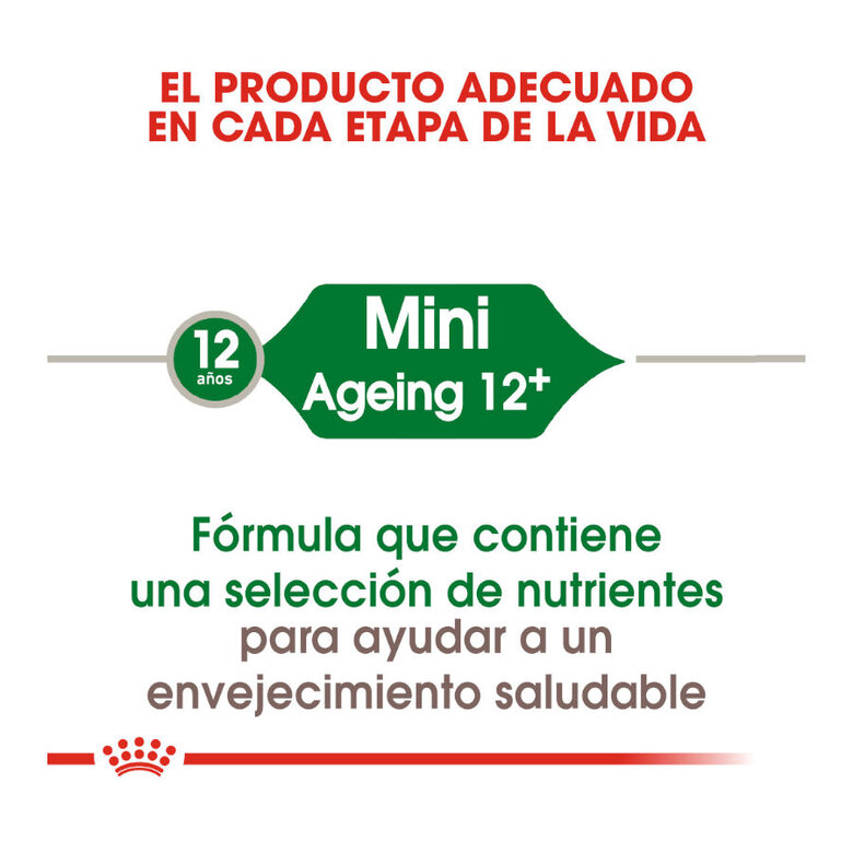 Royal Canin Adult 12+ Mini ração para cães  , , large image number null